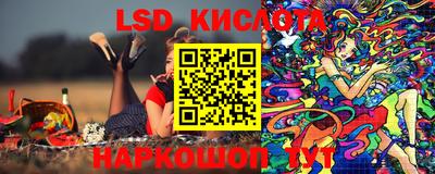 индика Новокубанск