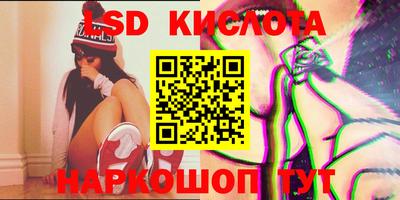 шишки Новодвинск