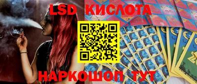 шишки Новодвинск