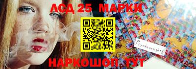 шишки Новодвинск