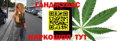 шишки Новодвинск