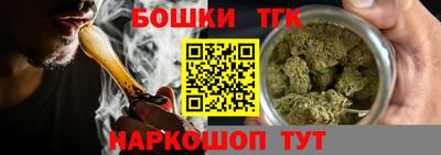 шишки Новодвинск
