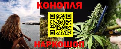шишки Новодвинск