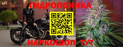 индика Новокубанск