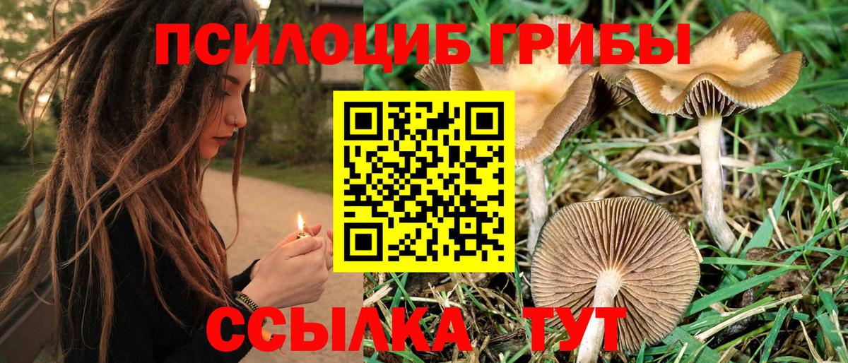 Псилоцибиновые грибы Psilocybine cubensis  Псилоцибиновые грибы ЛСД  Вход с VPN  Протвино 