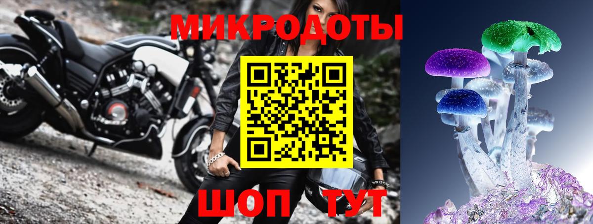 Галлюциногенные грибы Psilocybine cubensis Протвино